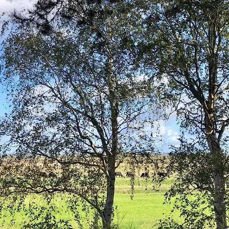 Strandhaus Jonathan 4 Og